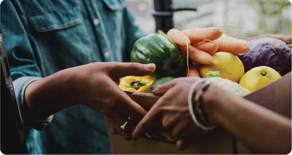 Hands passing fresh vegetables to another person